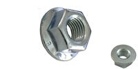Hex Flange Nut (Serrated & Non-Serrated)